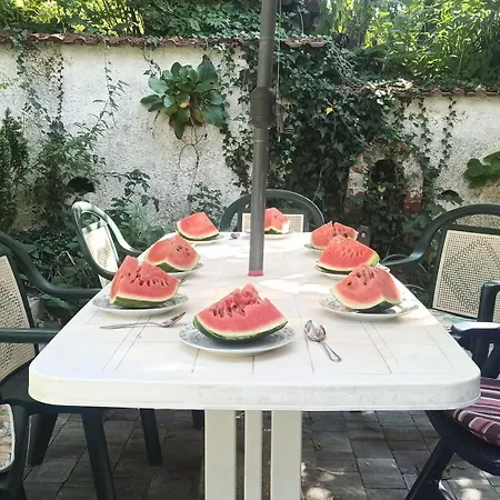 Apartment Panka House