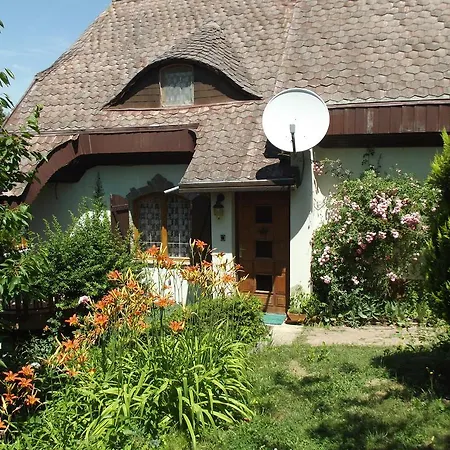 Apartment Panka House