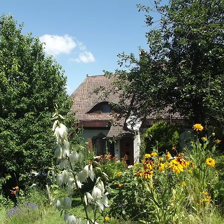Panka House