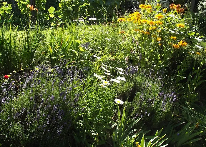 Apartman Panka House