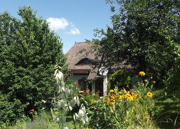 Panka House